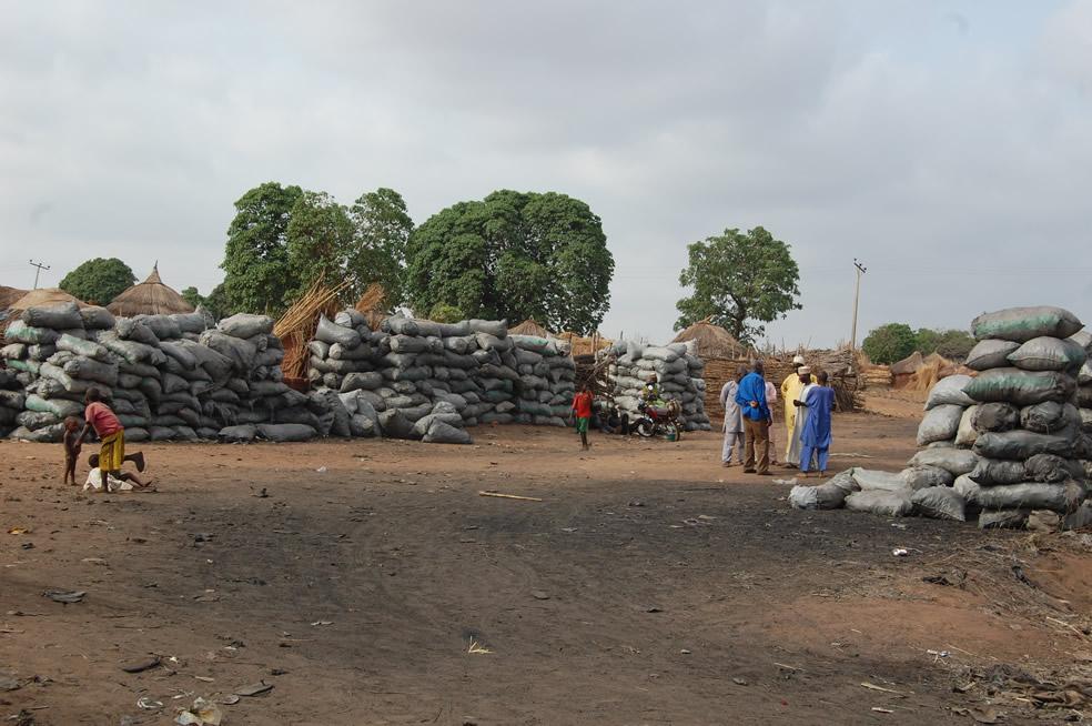 Charcoal collection & storage site